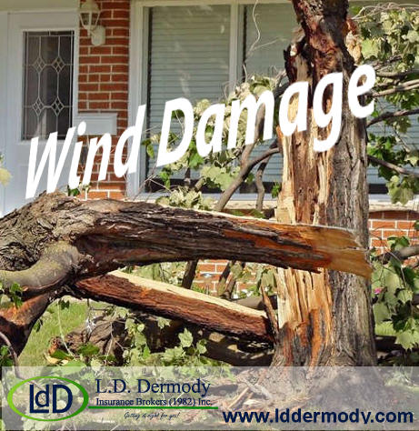 Wind Damage and Insurance